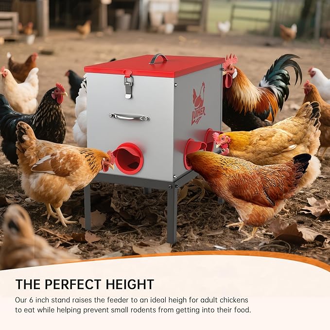 LUIHER Poultry Feeder-25LB no Waste chincken Feeder 6 Ports Large Capacity Galvanized Metal Poultry Feeder with Legs and Lids - Reduces Refilling Frequency Chicken Feeding Equipment for Hen Coop