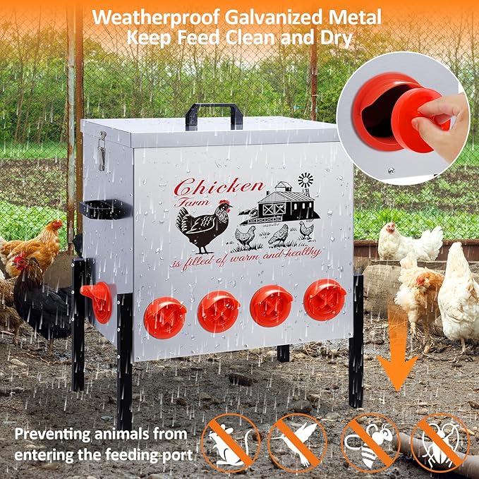100LB Large Automatic Chicken Feeder–10 Feeding Ports No-Waste Galvanized Metal Chicken Feeder Box with Adjustable Legs & Locking Lid Poultry Feeder for Chickens,Ducks,Geese,Rust-Resistant