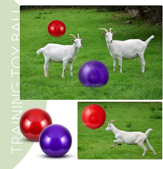 Sotiff 2 Pcs Herding Goat Ball Large PVC Exercise Training Ball with Inflator Pump for Dogs, Goats, Horses Outdoor Entertainment