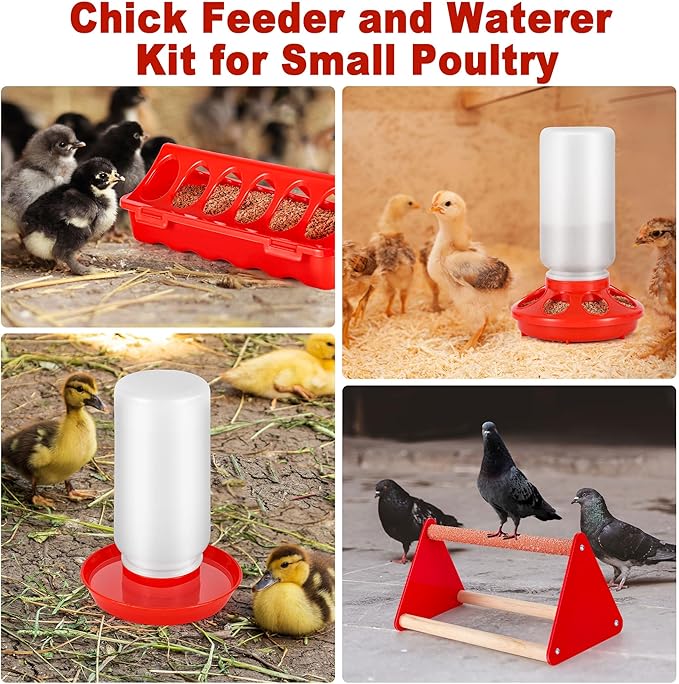 Chick Feeder and Waterer Kit, Plastic Baby Chicken Feeder and Waterer Set with Chick Perch