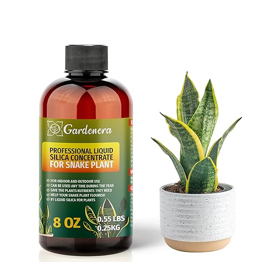 𝐏𝐑𝐄𝐌𝐈𝐔𝐌 Liquid Silica Plant Supplement - 8oz (250mL) - Snake Plants Liquid Silica Boost Fertilizer - Stronger Stems & Healthy Leaves for Indoor & Outdoor Snake Plants (Makes 45 Gallons)