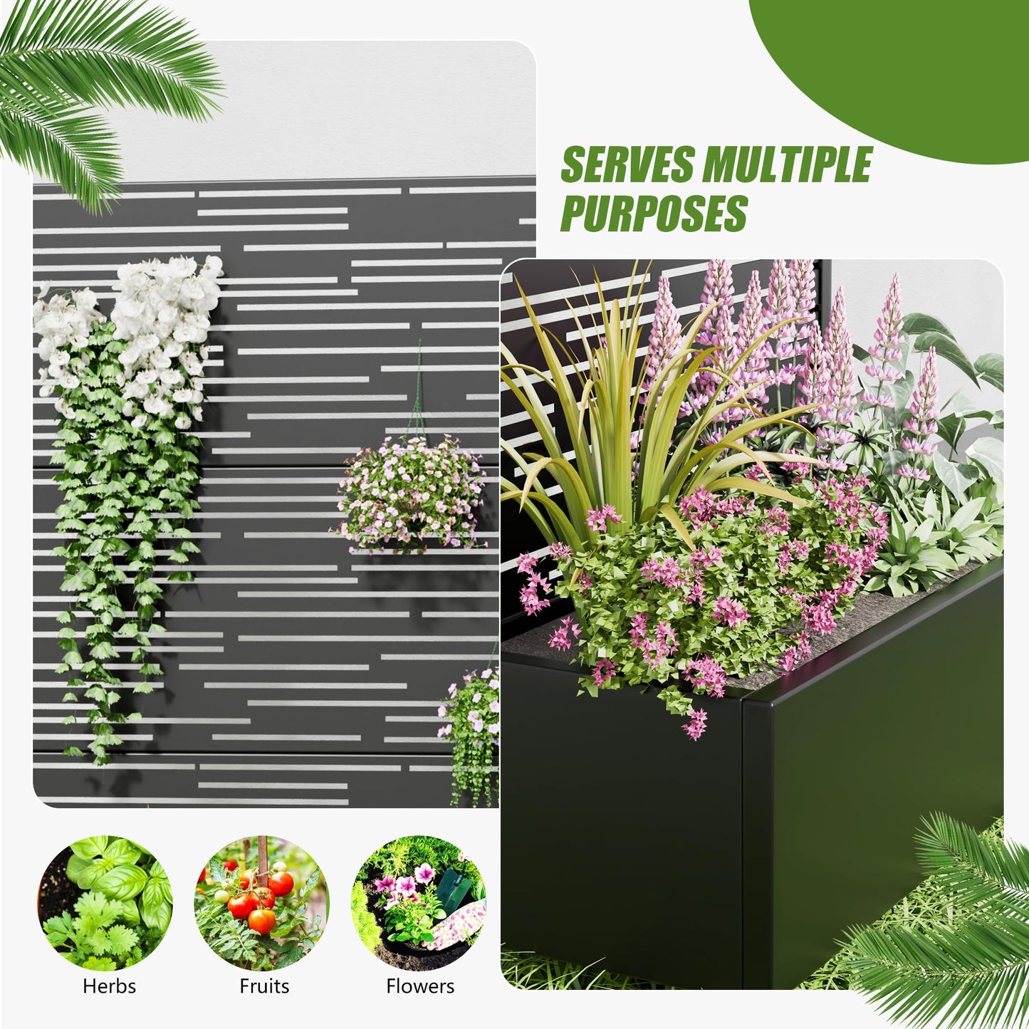 Casaphoria 72"x35" Metal Raised Garden Bed with Trellis(2 Pack), Outdoor Planter Box with Wheels & Drainage Holes for Climbing Plants, Flowers, Elevated Garden Kit with Privacy Screen, Black-Shine