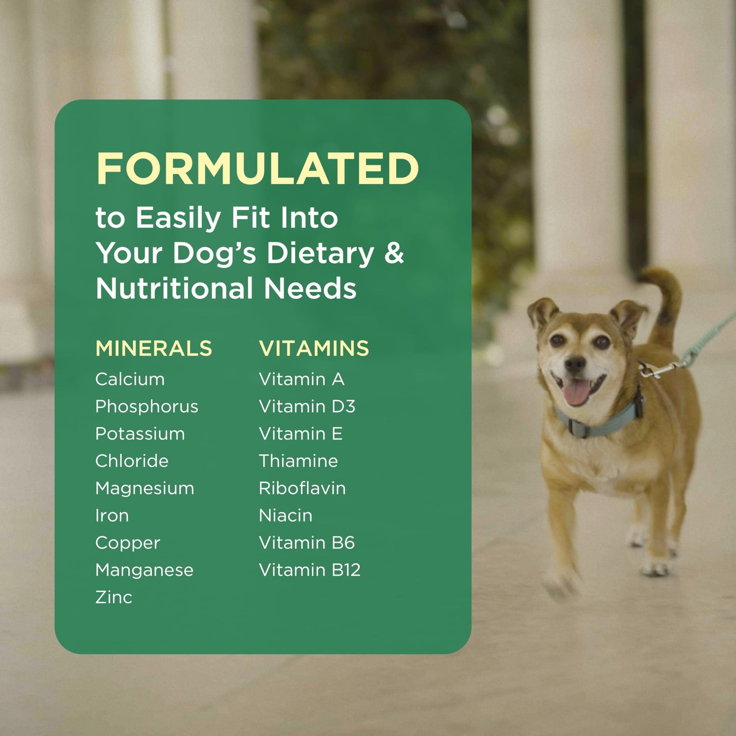 Pet-Tabs Multivitamin and Mineral Supplement for Dogs, Chewable Tablet, 500 Count Bottle for Multidog Household