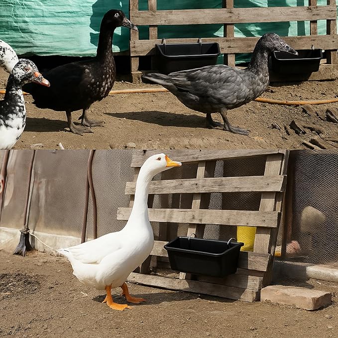 Hanging Chicken Feeder Troughs (2Pack, 5 Qt) – Durable Black Plastic Poultry Feed & Water Buckets with Metal D‑Clips, Multi‑Animal Goat, Sheep, Duck, Pig, Horse, Chicken Coop Feeder