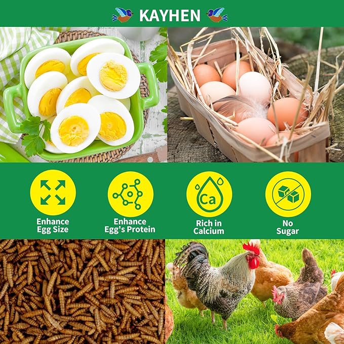 KAYHEN Dried Black Soldier Fly Larvae 5LB Non-GMO BSF Larvae for Chickens More Calcium Than Mealworms High-Protein Chickens Treats for Layer Hens Wild Birds Ducks