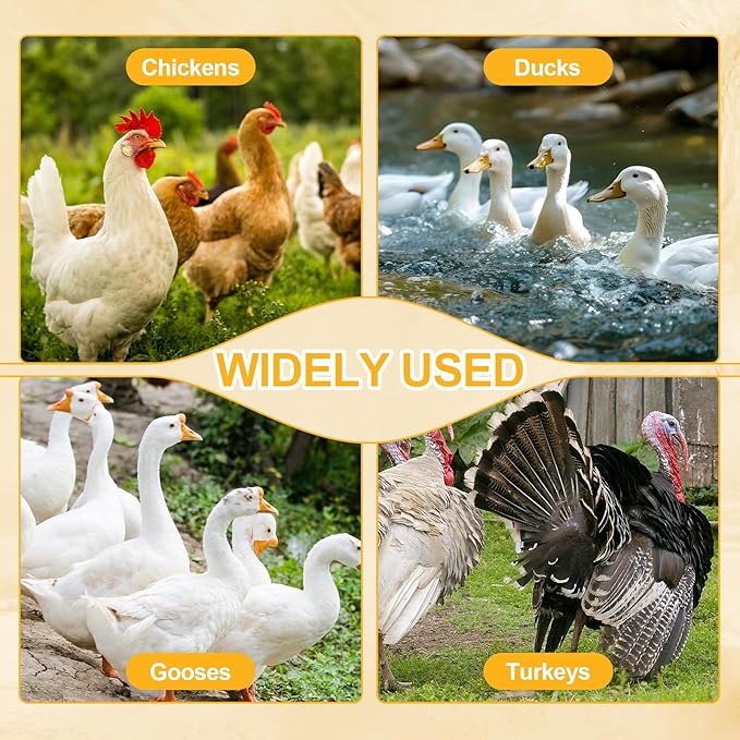 85-120LBS Metal Chicken Feeder No Waste 10 Ports Automatic Large Poultry Feeder with Latch & Handle for Chickens, Geese, Ducks, Turkeys, Quails, Weatherproof