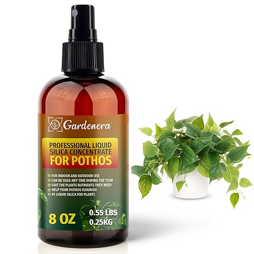 𝐏𝐑𝐄𝐌𝐈𝐔𝐌 Liquid Silica Plant Supplement - 8oz (250mL) - POTHOS Plants Liquid Silica Boost Fertilizer - Stronger Stems & Healthy Leaves for Indoor & Outdoor Pothos Plants (Makes 45 Gallons)