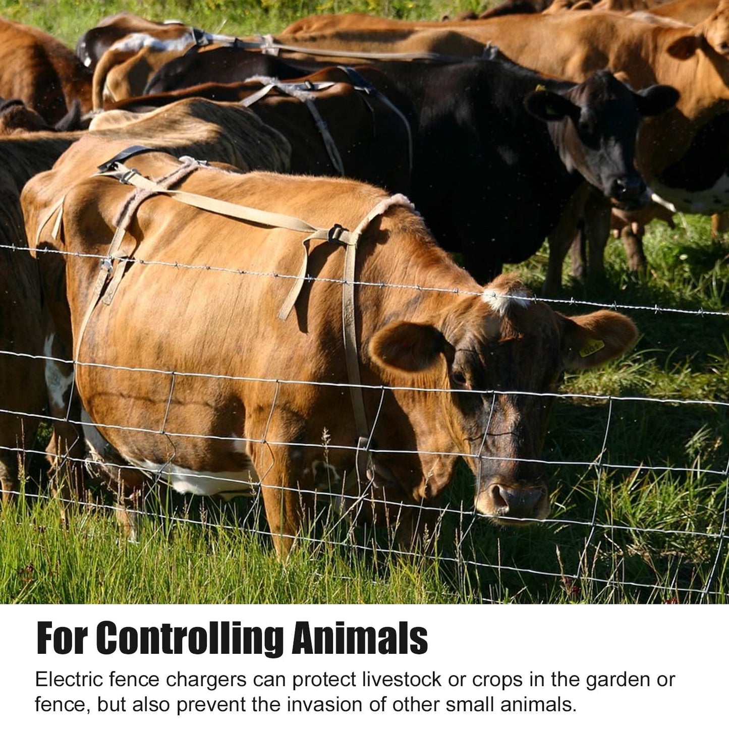 PE2 Electric Fence Charge Electric Fence Energizer, 2-Mile/ 8 Acres Electric Fence Charger,Livestock Fence Chargers for Containing Dogs, Livestock and Preventing Wild Animals Intruding