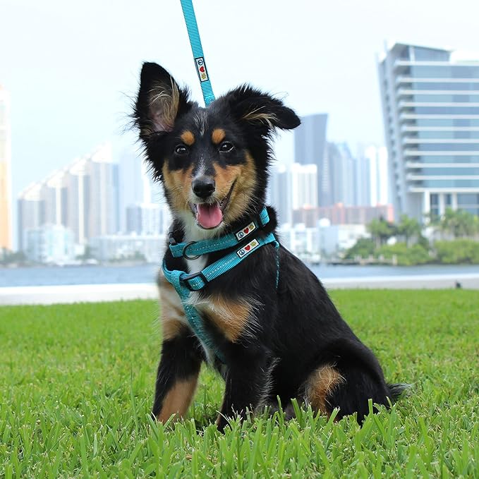 Pawtitas Recycled Dog Harness with Reflective Stitched a Puppy Harness Made from Plastic Bottles Collected from Oceans Extra Small Purple Quartz