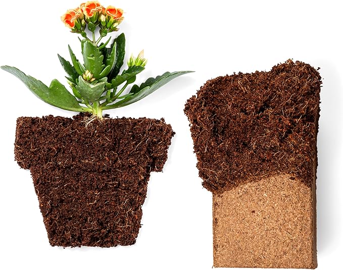 Coco Coir 650gm Bricks (10-Pack) - Organic Coco Coir for Plants - OMRI-Listed Cocopeat Bricks for Garden Soil & Potting Mixes - Coconut Fiber Mixes with Potting Soil for Indoor & Outdoor Plants