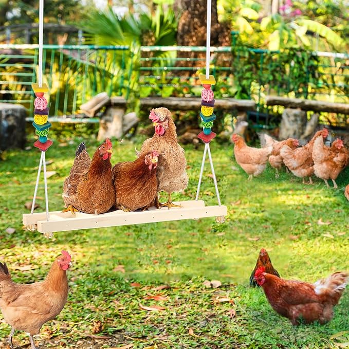 Chicken Coop Swings, Outdoor Poultry Exercise Perch for Hens, Roosters