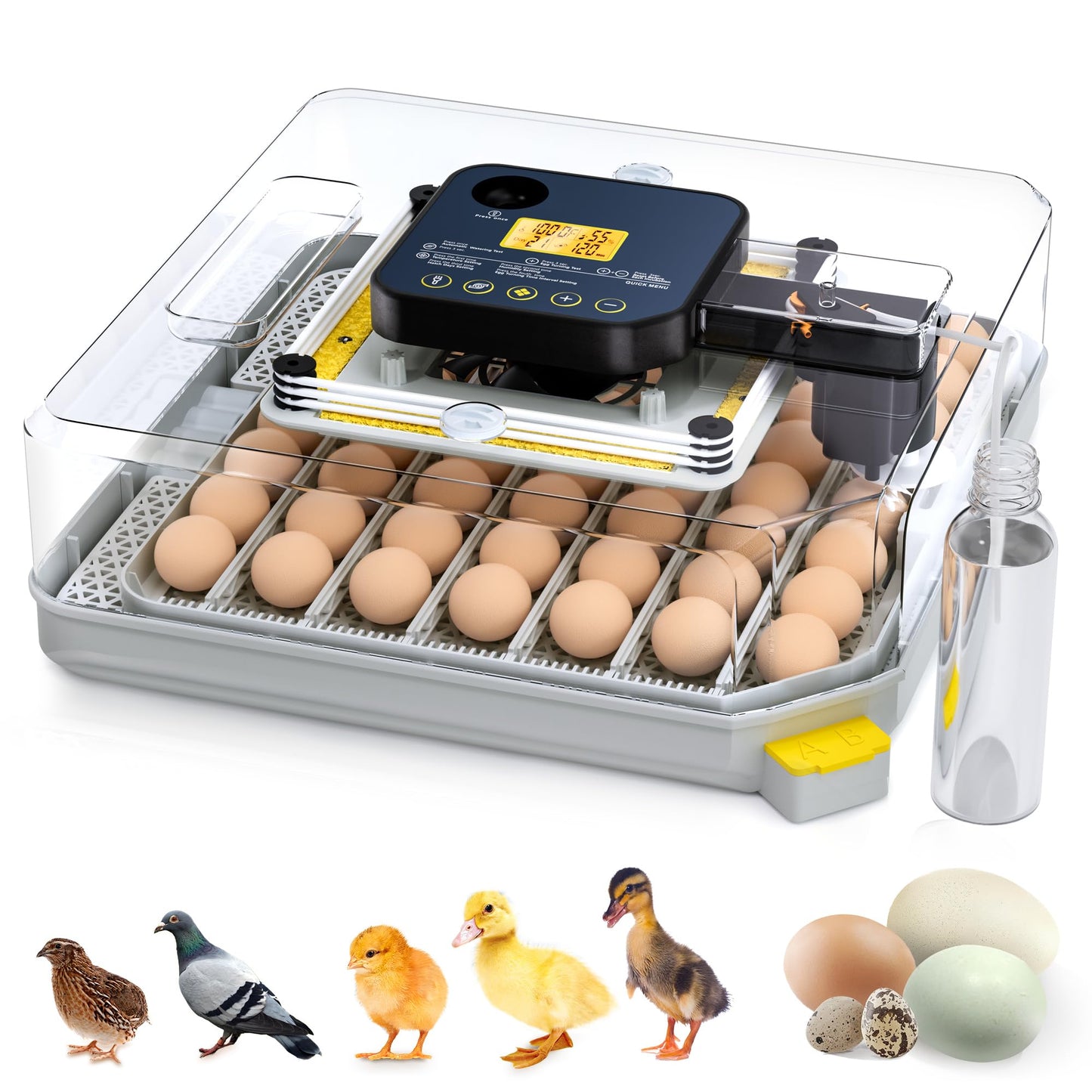 Besly 48 Egg Incubator for Hatching with Automatic Egg Turning and Humidity Control, Egg Candler, Poultry Egg Incubator for Chicken, Ducks, Goose, Pigeon, Quail, ideal for Farm, Classroom, Home