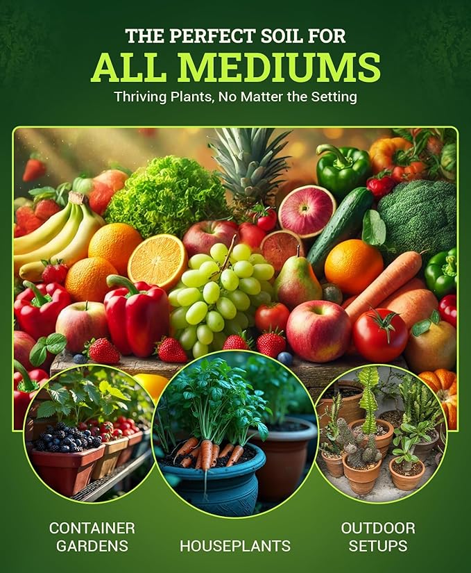 FoxFarm Ocean Forest Potting Soil, 12qt – Light, Aerated Texture, Designed for All Container Plants – pH Adjusted for Optimal Nutrient Uptake, Effectively Retains Moisture (12 Quart (3 Pack))