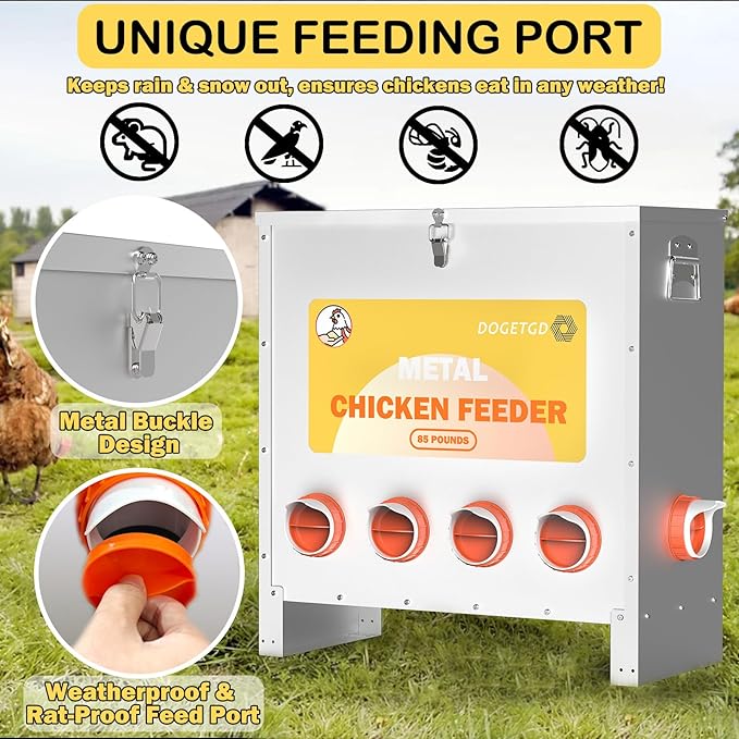 Automatic Chicken Feeder No Waste Metal Poultry Feeder Large Capacity 85 lbs for Chickens, Geese, Ducks, Turkeys, Quails (6-Port)