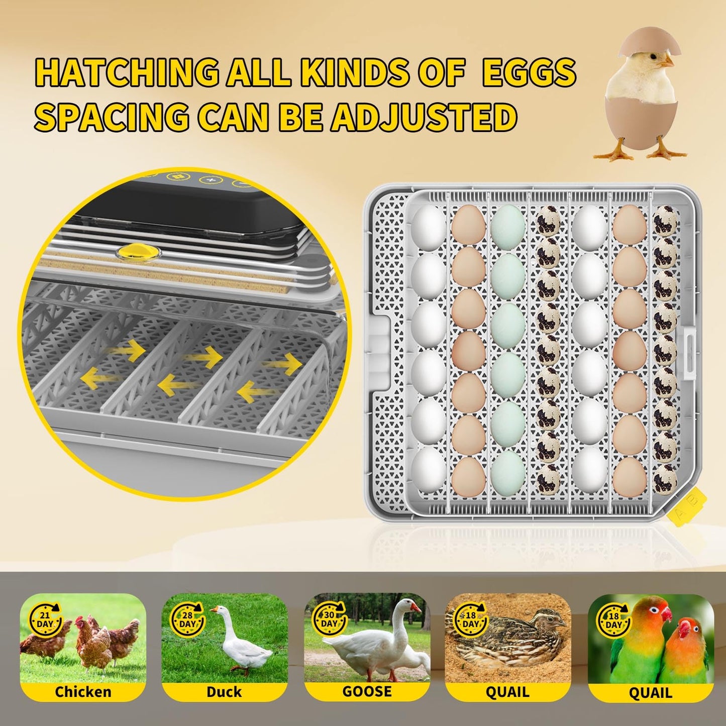 LBYRZE 48 Egg Incubators for Hatching Eggs,360° View Incubator with Automatic Egg Turning and Humidity Control,Quail Duck Chicken Incubators