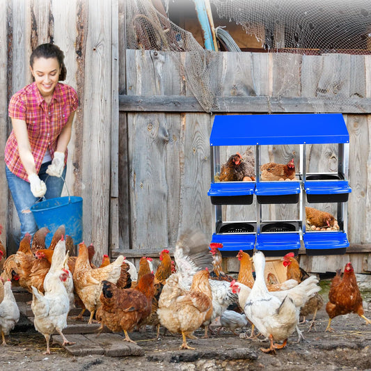 Chicken Nesting Box, 6 Compartments Nesting Boxes for Chickens, Chicken Laying Boxes, Roll Away Nesting Box for Chickens Laying Egg with Lid Cover to Protect Eggs, Blue