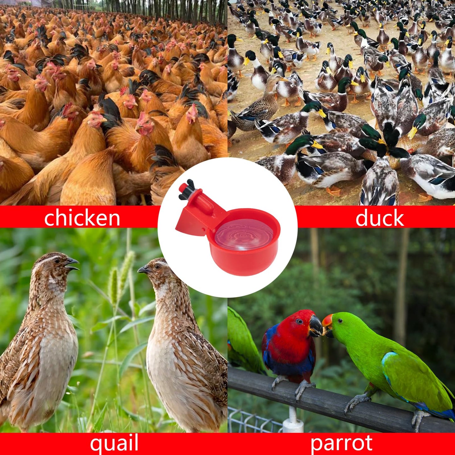 Pack of 16 Automatic Chicken Drinkers with Drill,Chicken Water Dispenser,Water Drinker,Poultry Drinker Set for Chickens, Ducks, Geese, Turkey, Pigeon TXZWJZ