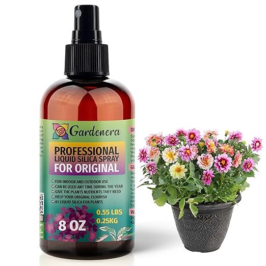 𝐒𝐔𝐏𝐄𝐑𝐈𝐎𝐑 Liquid Silica Boost Fertilizer and Supplement Mist for All Plants – Original – Pre-Mixed, Ready-to-Use Liquid Silicon Plant Superfood Spray for All Indoor & Outdoor Plants – 8oz