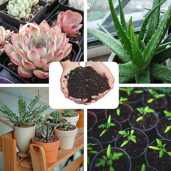 Halatool 3QT Premium Aloe Plant Potting Mix Garden Top Succulent Soil for Indoor & Outdoor Plants Bonsai Aloe Vera Houseplants Flowers Vegetables & Herbs (packaging may vary)