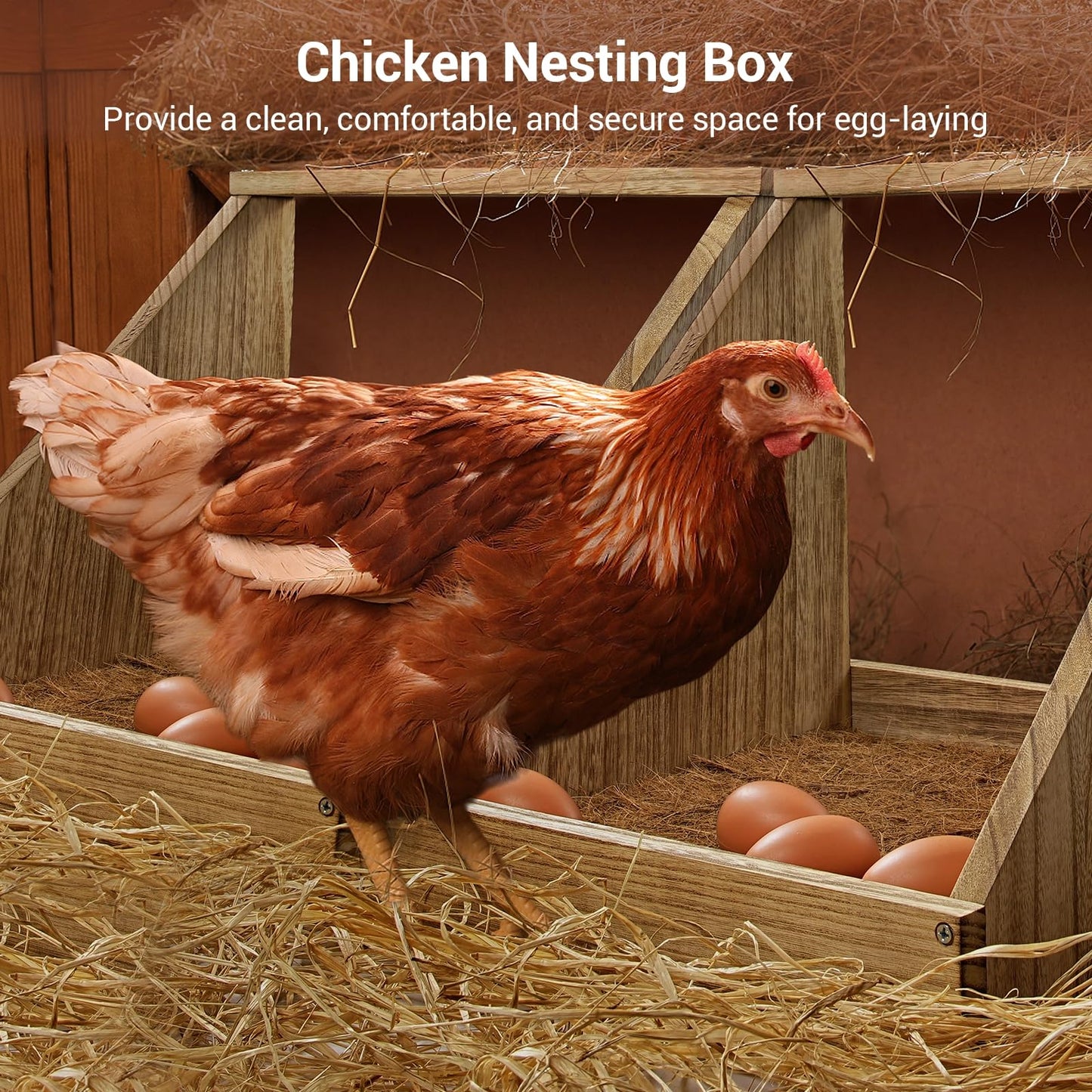 3 Pack Chicken Coop Nesting Boxes for Laying Eggs - Wooden, Duck & Chicken Nesting Box Accessories