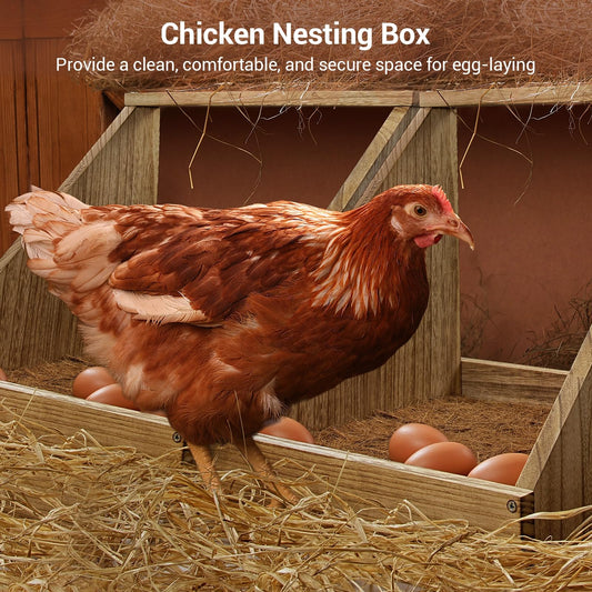 3 Pack Chicken Coop Nesting Boxes for Laying Eggs - Wooden, Duck & Chicken Nesting Box Accessories