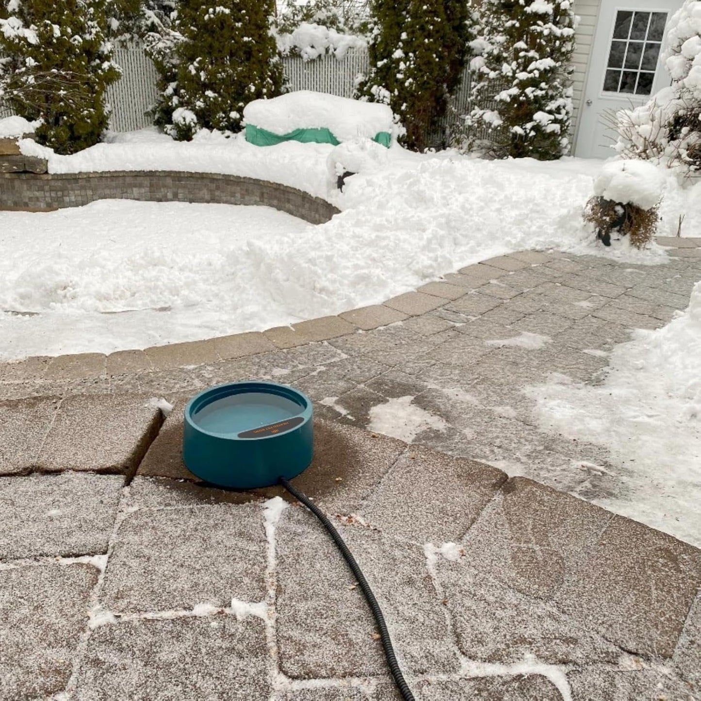 Enjoying Heated Pet Bowl for Cat Outdoor, 2.2 L, Ice Free, Heated Water Bowl for Dogs Chickens Rabbits Birds, Intellectual Temperature Control Thermal Bowl, Green