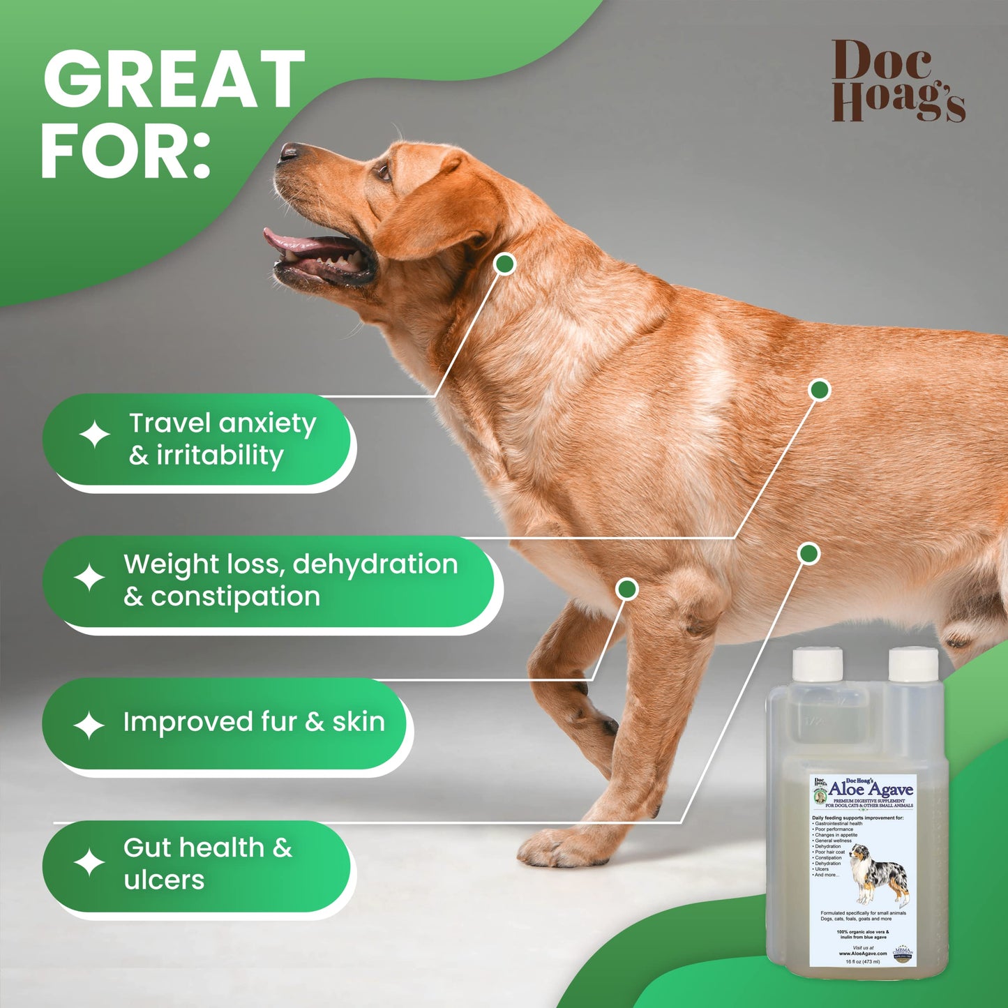 Doc Hoag’s Aloe Vera, Made in USA, Agave Natural Holistic Dog Supplement – Probiotic Digestive Support & Skin & Coat Hydration Formula, 16 Fl Oz