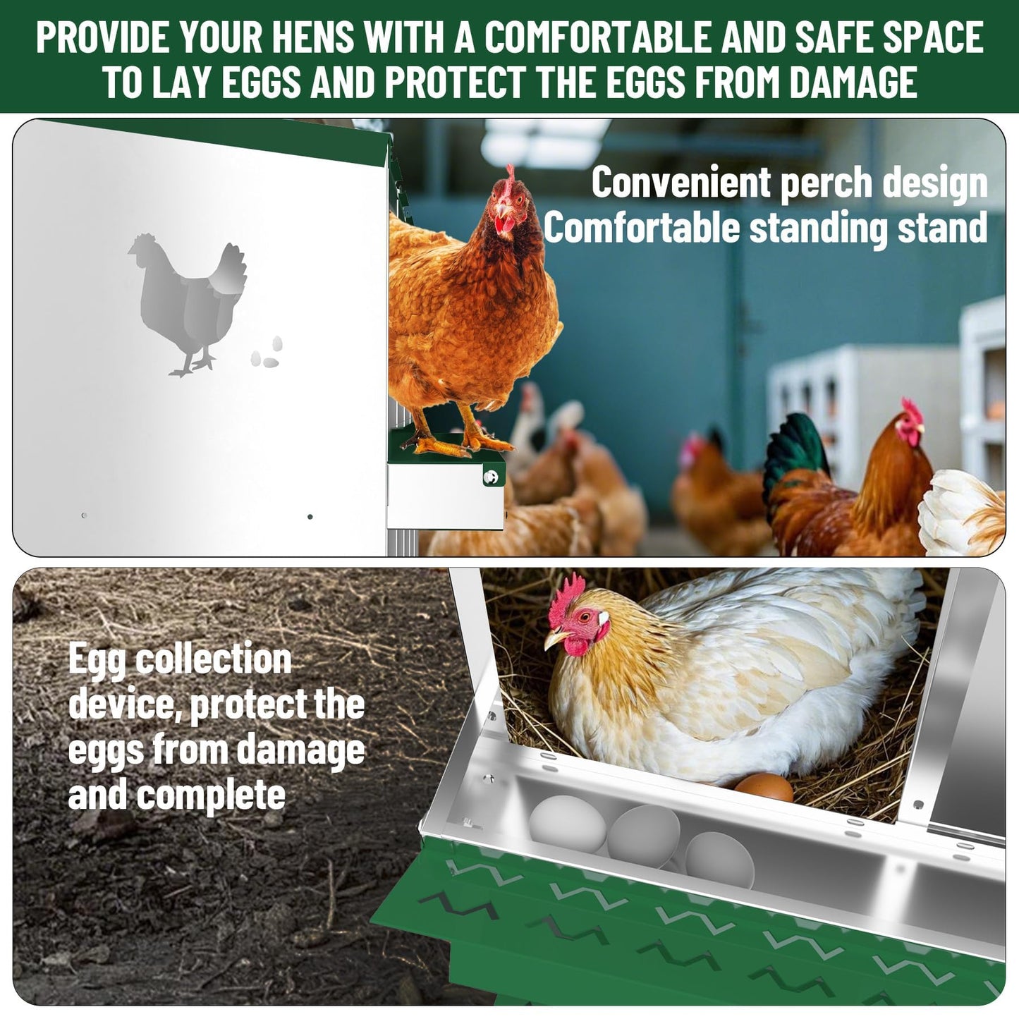 10-Compartment Chicken Nesting Box, Chicken Nesting Boxes for Laying Eggs, Heavy Duty Metal Design for Hens/Ducks, Anti-Peck Rustproof Nest Box, Green
