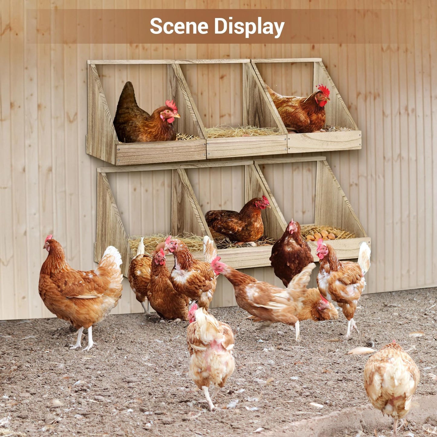 3 Pack Chicken Coop Nesting Boxes for Laying Eggs - Wooden, Duck & Chicken Nesting Box Accessories