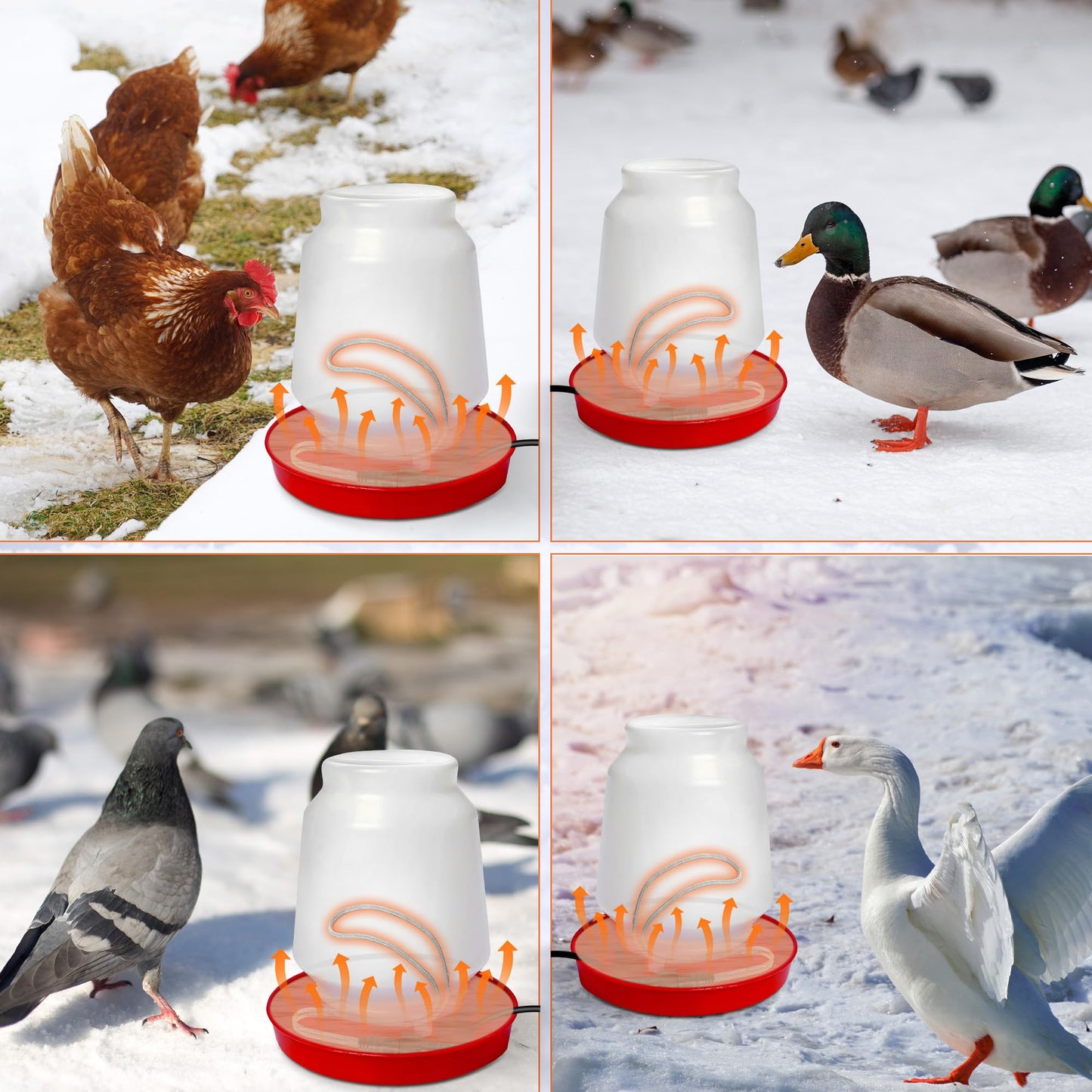 Saillong Chickens Water Heater Cord, Heated Chicken Waterer for Winter, Freeze Proof Heated Waterer for Poultry, Small Animals (Rabbits, Guinea Pigs, etc.), Prevent Water Freezing in Drinkers (1 Pack)