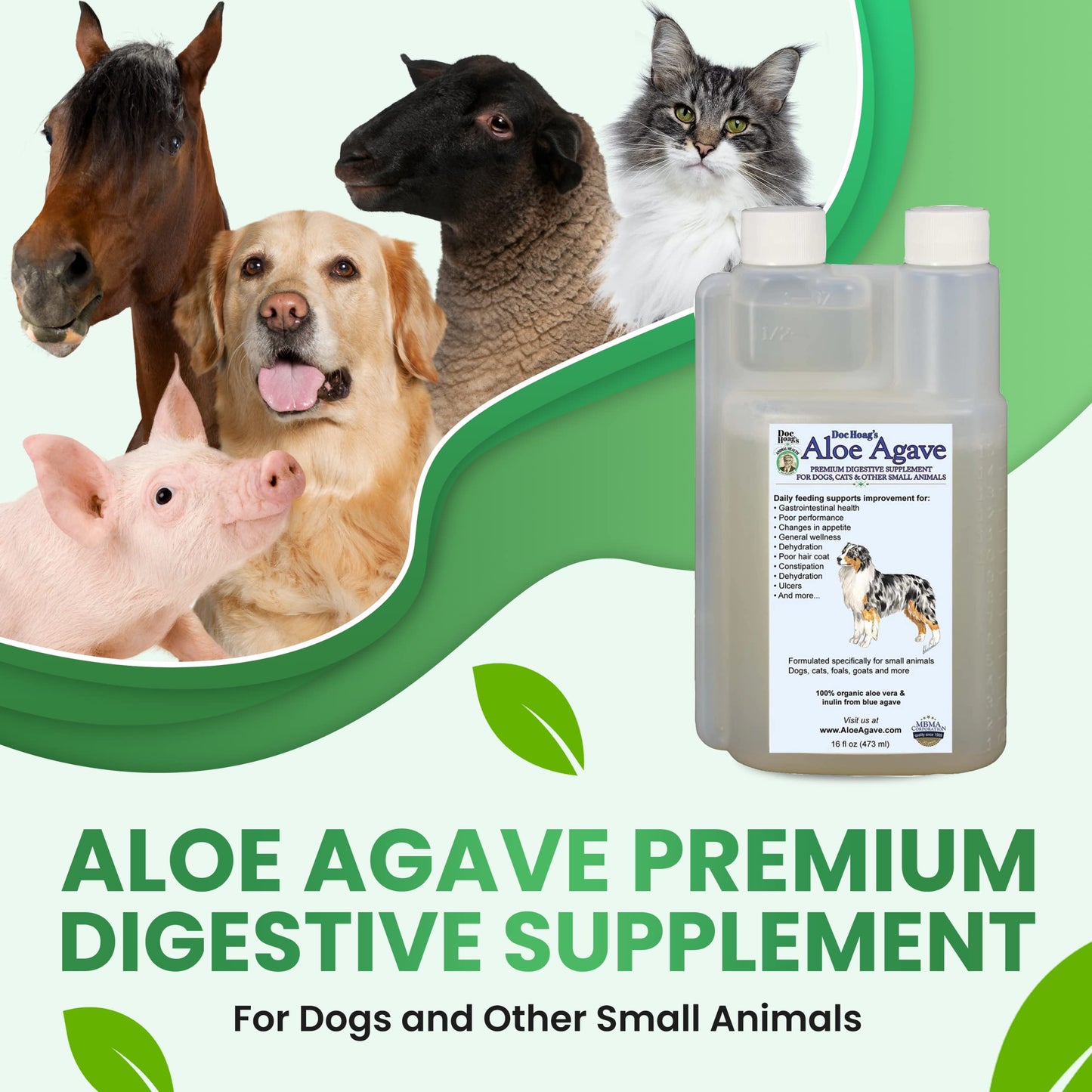 Doc Hoag’s Aloe Vera, Made in USA, Agave Natural Holistic Dog Supplement – Probiotic Digestive Support & Skin & Coat Hydration Formula, 16 Fl Oz