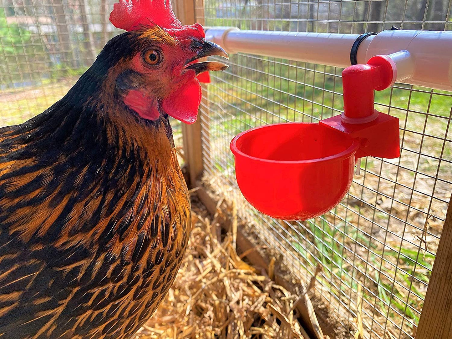 Automatic Chicken Watering System with 1/2" PVC Pipe & Hose Connector Kit, Leak-Proof and Easy-Assembly Chicken Drinker for Coops, Compatible with Water Tanks