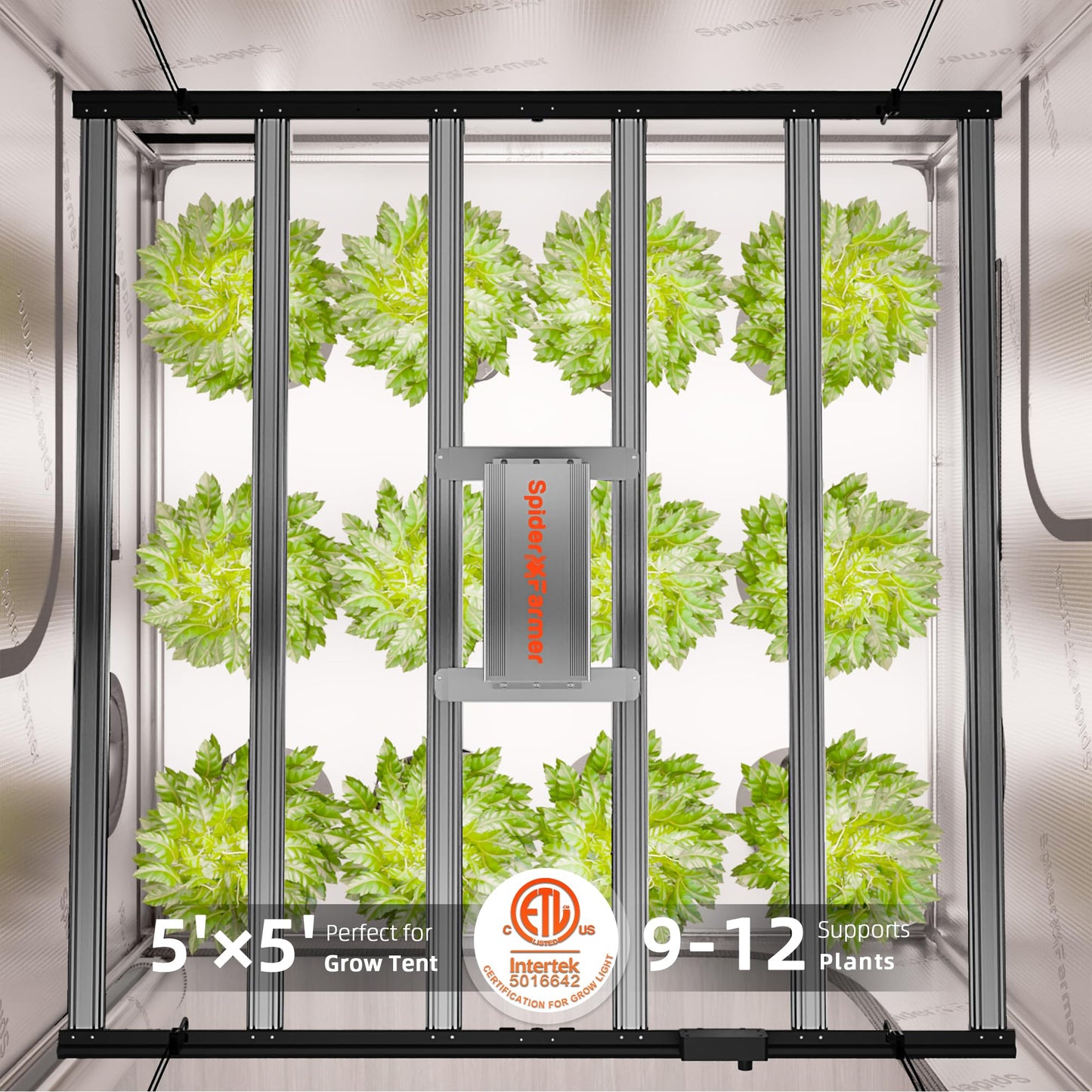 Spider Farmer G8600 Cost-Effective 800W LED Grow Lights, 4x4ft/5x5ft Coverage Commercial Bar Style LED Grow Lamp for Indoor Plants Vertical Farming, 2025 Upgraded Smart App Control