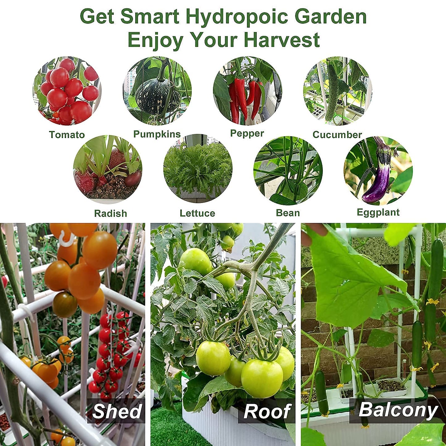 Large Smart Hydroponics Growing System kit,7L Indoor Hydroponic Garden Plant Grow Kit for Herb,Tomato,Pepper,Cucumbers,Vines Plants, Gardening Gift Choice for Wife,Husband,Mom (60“ Trellis No Light)