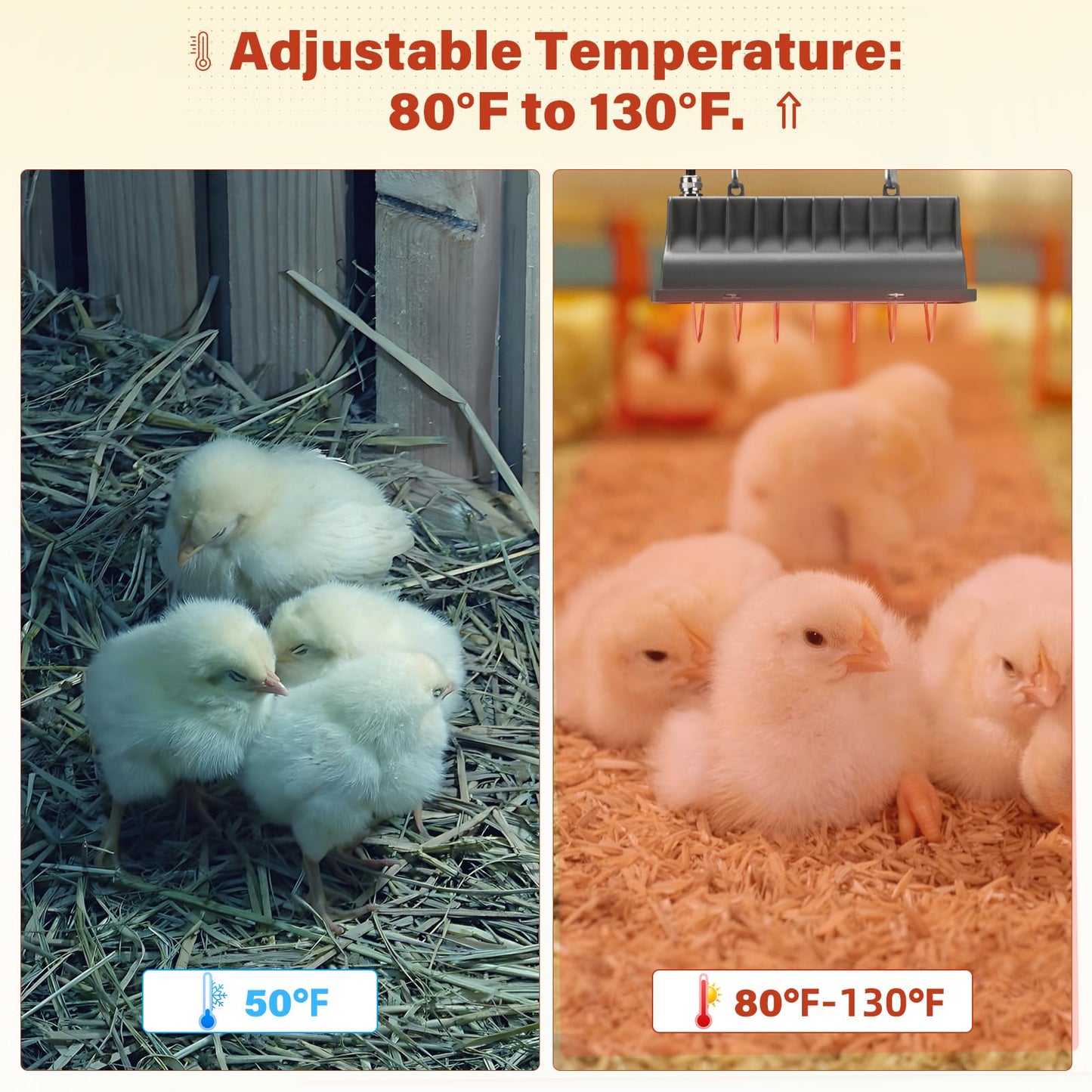 Chicken Coop Heat Lamp for Dog Kennel, Cat Bed, Reptiles & Incubators - 250W Adjustable Heat Lamp with 2 Heat Settings for Poultry, Livestock, and Pets
