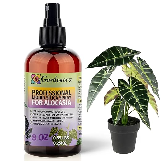 𝐒𝐔𝐏𝐄𝐑𝐈𝐎𝐑 Liquid Silica Boost Fertilizer and Supplement Spray for ALOCASIA Plants – Pre-Mixed, Ready-to-Use Liquid Silicon Plant Superfood Mist for Indoor & Outdoor Plants – 8oz