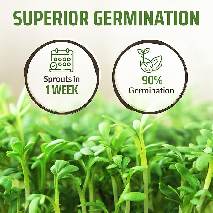 Rooted Acre 8 Varieties Hot Peppers – 240 Heirloom Seeds, 𝗡𝗢𝗡-𝗚𝗠𝗢 𝗨𝗦𝗔-𝗦𝗢𝗨𝗥𝗖𝗘𝗗, High Germination – Includes Ghost, Jalapeño, Serrano, California Wonder & More – Spicy Pepper Garden Mix