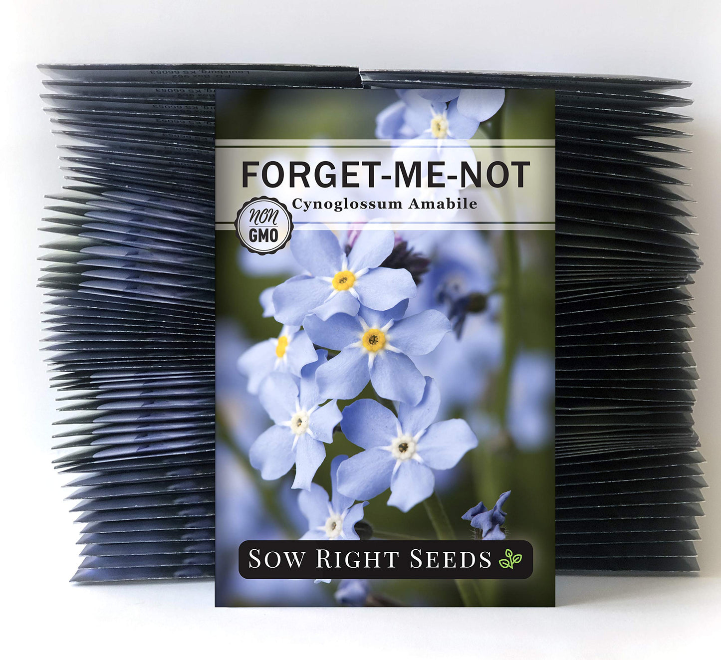 Sow Right Seeds - Forget-Me-Not Flower Seeds for Planting (Cynoglossum amabile) - Non-GMO Heirloom Packet with Instructions - Great to Pair with Cards of Remembrance - Small Blue Memory Blooms (100)
