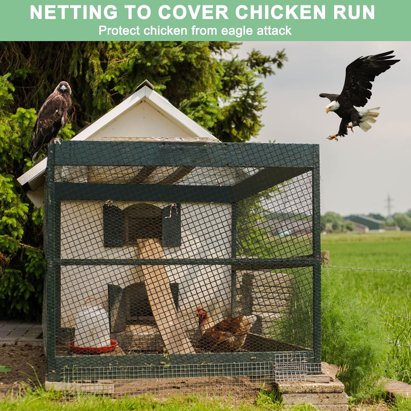 BSTPCOO 100'x100' Bird Netting for Chicken Coop, Nylon 3/4" Mesh Poultry Netting Chicken Nettings Roof Hawk, Aviary Net Deer Fence Garden Netting for Fruits Trees Plant