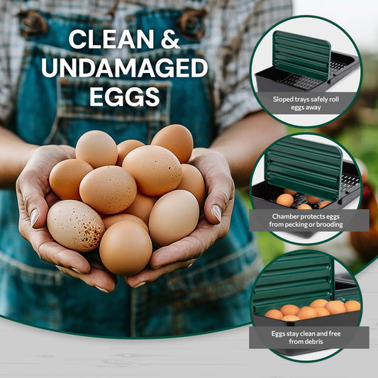 Homestead Essentials Compact Style 3 Compartment, Forward Rollout & Rollaway, Hen & Chicken Nesting Box with Protective Egg Laying Collection Lids
