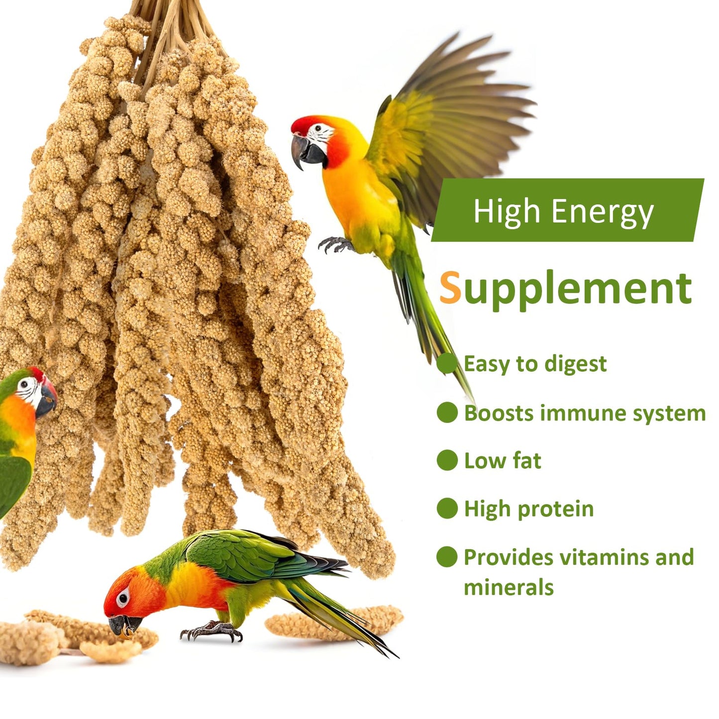 HATORTOP Spray Millet for Birds 5LB - All Natural Sun-Dried Healthy Treat, Millet Spray for Parakeets, Parrots, Lovebirds, Cockatiels Food, 100% Non-GMO High Protein Fresh Bird Seed