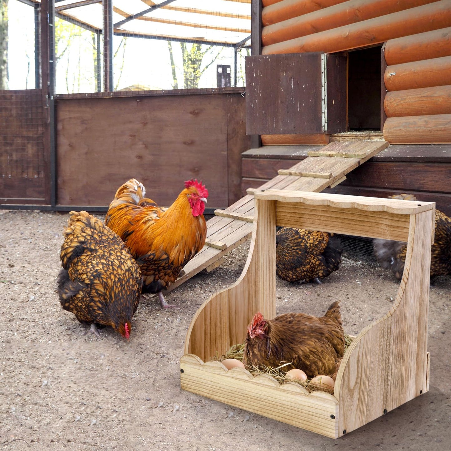 Tlence Single Compartment Hens Nesting Box, 14.5 x 13.75 x 13 Inch Wood Chicken Laying Eggs Boxes, Large Heavy Duty Chicken Coop Nest Box Accessories for Duck Birds Poultry, Easy Assembly