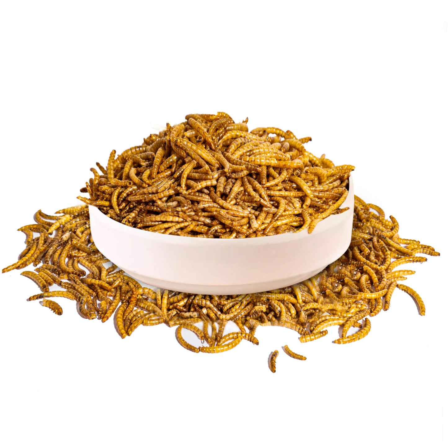 MTART 600g Dried Mealworms Treat for Chicken, 100% Natural Non-GMO High Protein Organic Chicken Feed for Birds, Ducks, Layer Hens