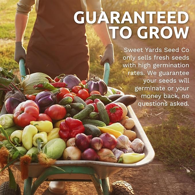 Organic Tomato Seeds Variety Pack - 9 Individual Packs - 2025 Season - Roma, Cherry, Black Krim, Yellow Pear, Pineapple and More! for Indoor & Outdoor Planting (Non-GMO, Certified Organic)