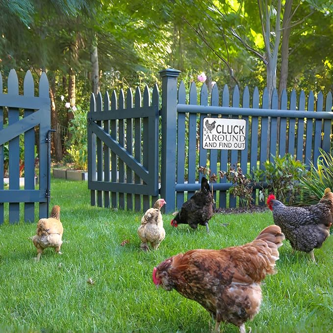 Funny Chicken Gifts Chicken Tin Sign for Home Farm Chicken Coop Farmhouse Kitchen Garden Decor 8 X 12 Inch (3021)