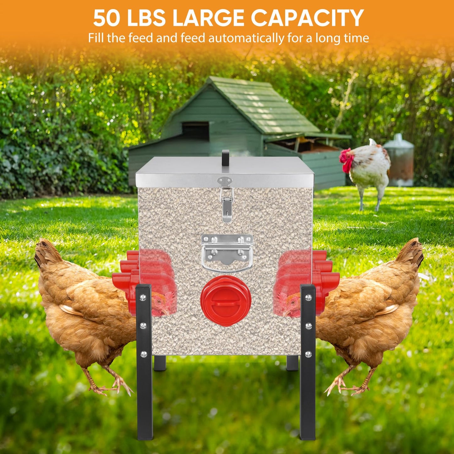 TGEYD 50LB Large Automatic Chicken Feeder – 8 Feeding Ports, No-Waste Poultry Feeder, with Adjustable Legs & Locking Lid