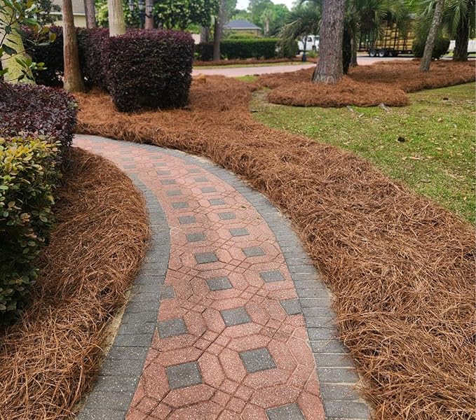 13"x13"x13" Box of Southern Pine Straw - Premium Pine Needle Mulch