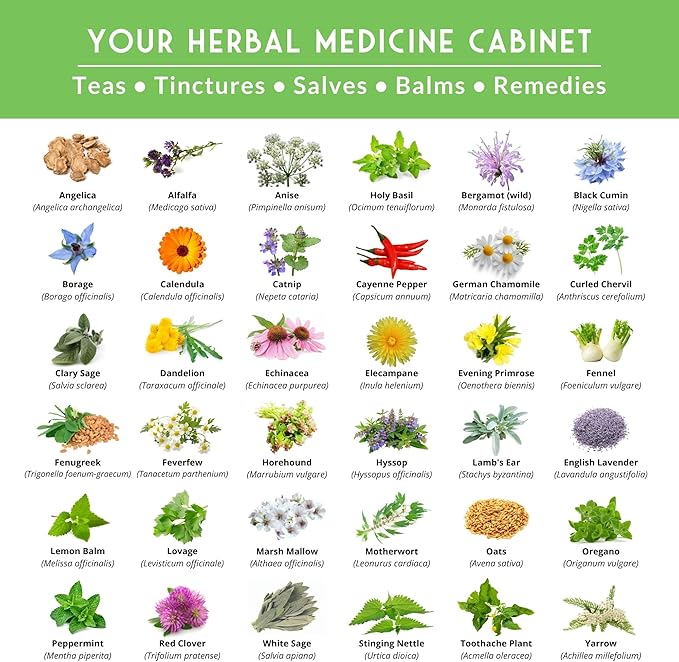 Ultimate Medicinal Herb Seeds Variety Pack – 36 Heirloom Varieties, 28,000+ Lavender, Calendula, Echinacea, Peppermint, Yarrow – Non-GMO Garden Kit by Survival Garden Seeds