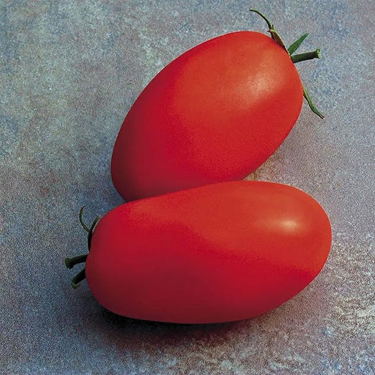 Park Seed Variety of Tomato Seeds, Planting Vegetables, Easy to Grow, Non-GMO, Perfect for Harvesting, Supremo Hybrid, Pack of 10