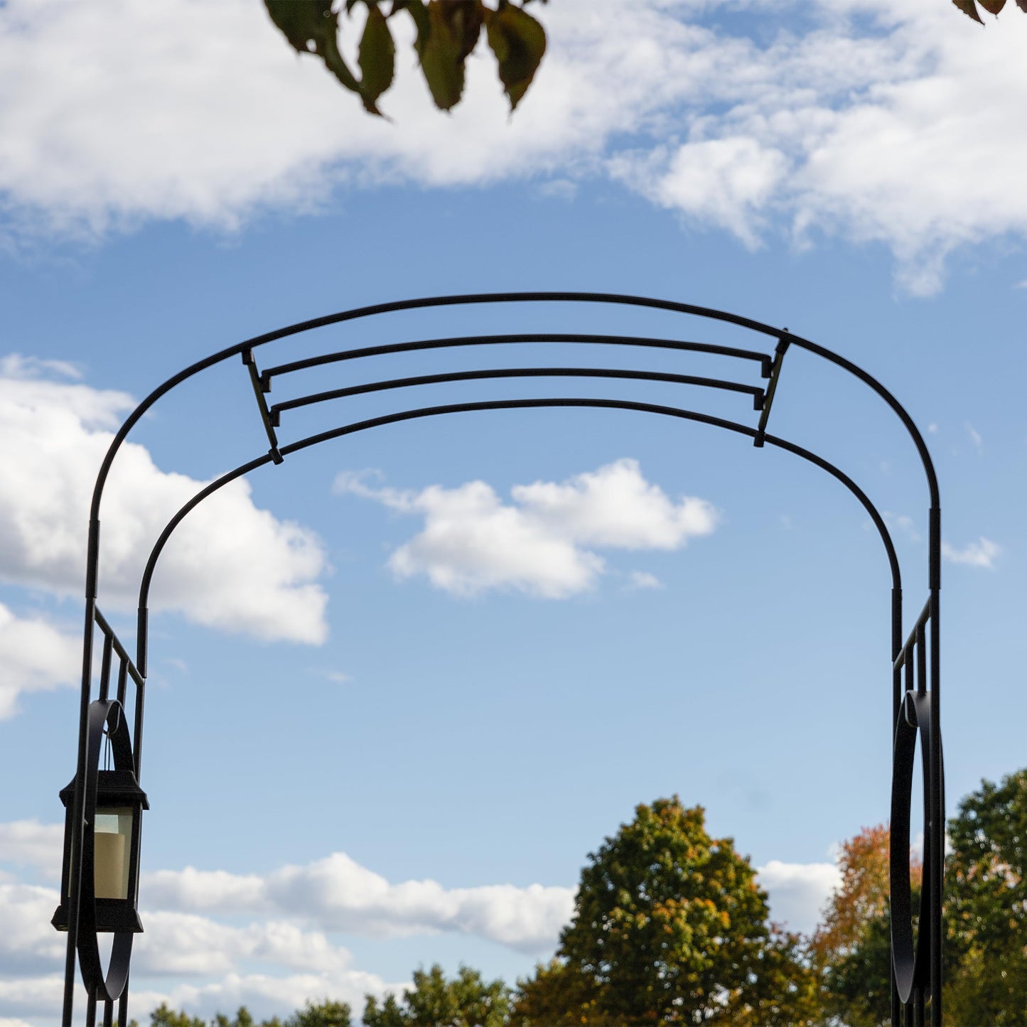 Samsara Arbor
